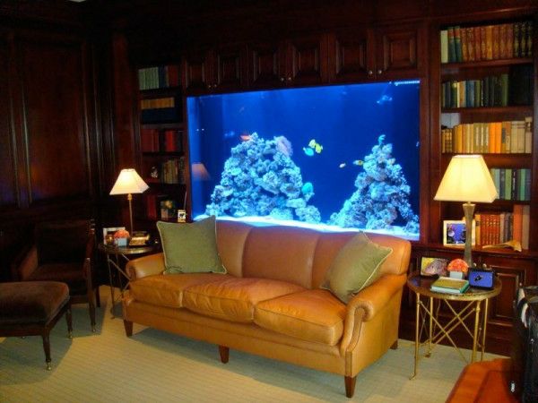 elegantný obývacia izba s veľkým akváriom s osvetlením v modrej farbe