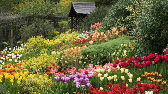 Inglês Jardim frescos tulipas lindas cores diferentes