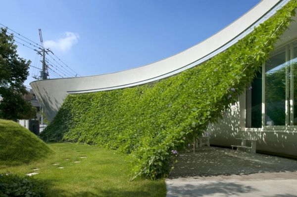 exteriör design-Unique-arkitektur form-and-funktions vägg med gräs