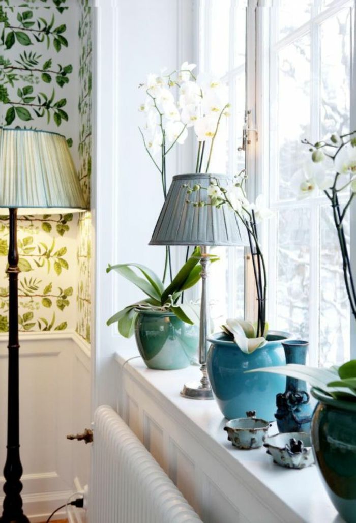 Landhaus Deko Orquídeas e lâmpada de assoalho pela janela