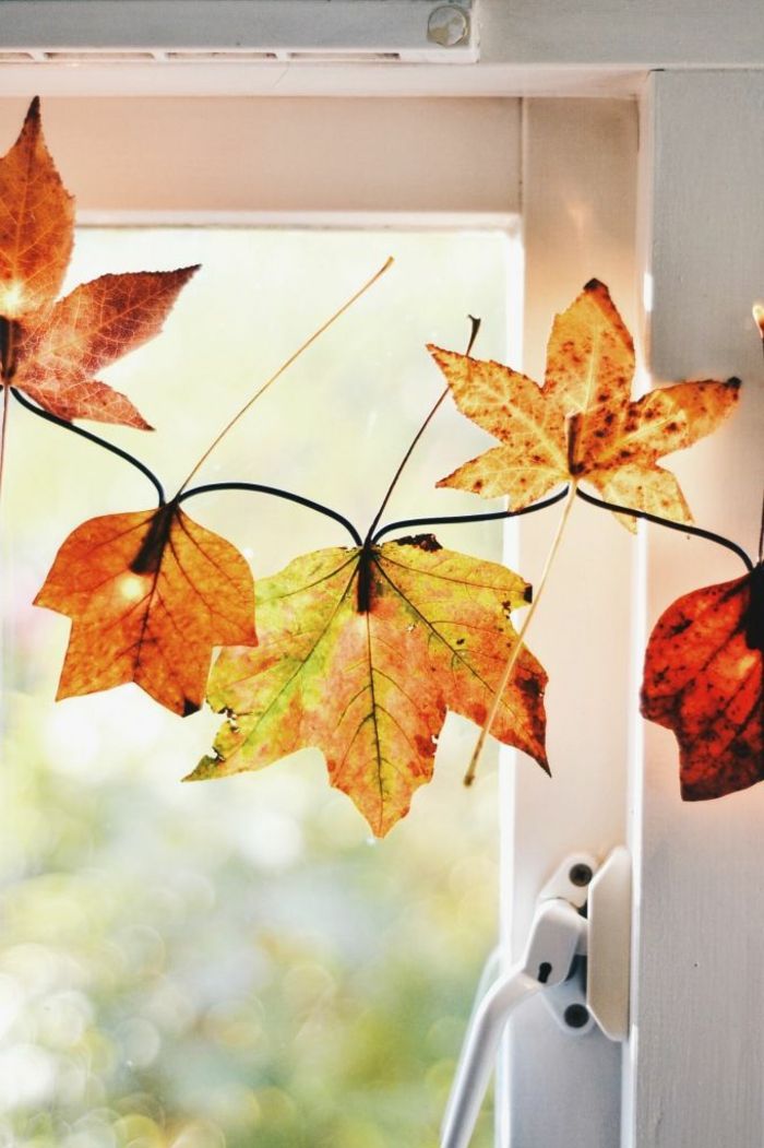 Fensterdeko-za-jesen-lepa drevesa listi