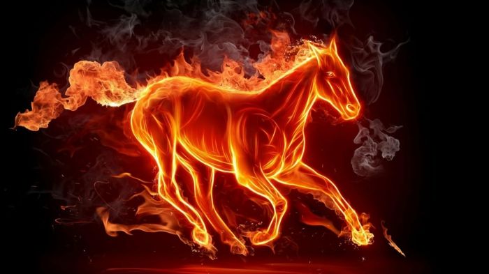 fire-wallpaper-a-beh koňa