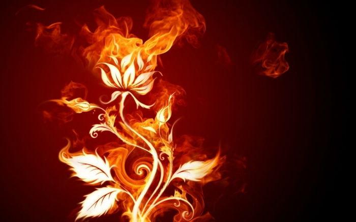 fire-wallpaper-a-krásny kvet