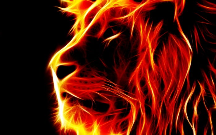 fire-wallpaper-a-krásny-lion