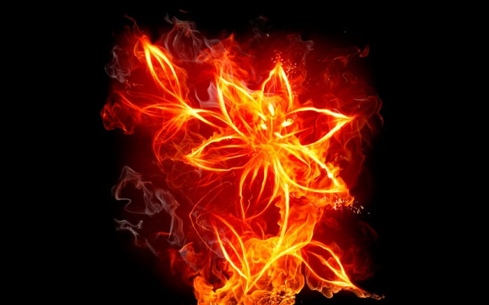 fire-tapety, zaujímavé kvet