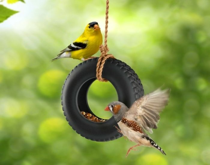 Vogelvoeders gemaakt van mini-hoepels, twee kleurrijke vogels, cool DIY-ideeën voor je tuin