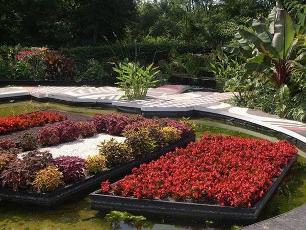 Flori colorate și plante verzi în grădina exotică