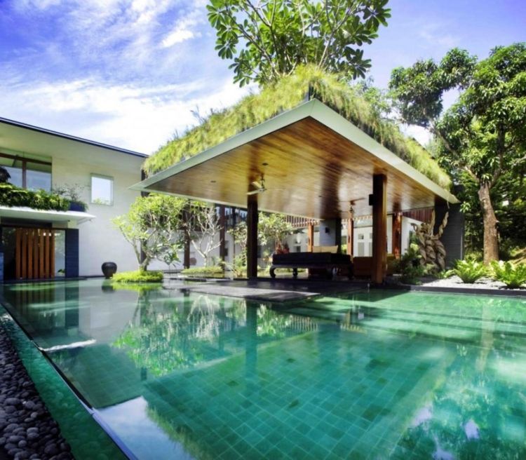 pérgola-roof-greening Chic-nobre-planta-moderna-elegante-pool-sol do verão