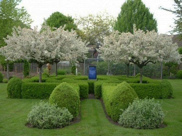 Grădină cu copaci cu flori albe