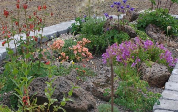 renkli çiçek ve modern bahçe tasarımı için taş