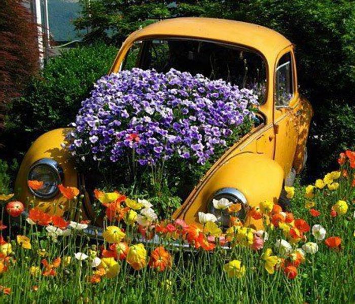 Hagen-forskjønne-lilla-blomster-in-a-gul-bil