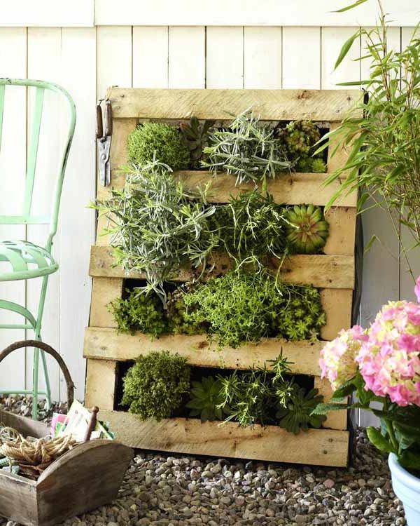 ideea de decoratiune de gradina - plante verzi in cutie de la palet