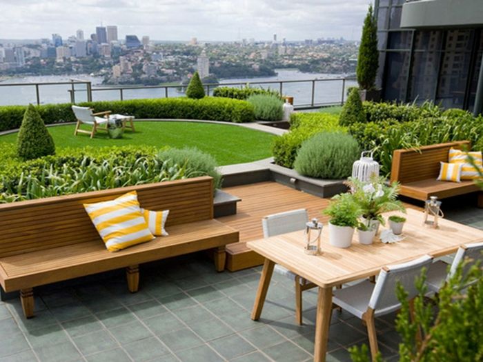 en minimalistisk trädgård - en sittgrupp, en engelsk gräsmatta, massor av gröna växter
