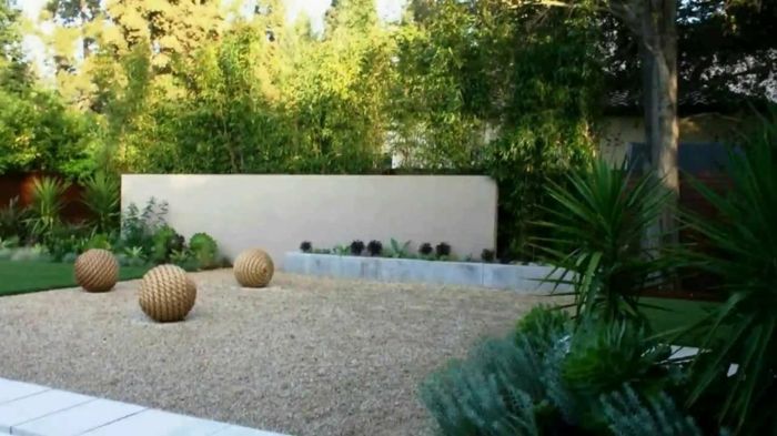hvordan å kombinere en ørken og grønt i hagen - moderne hage design