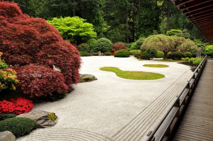 Smėlio grindys ir daug bonsai medžių įvairaus spalvų - modernus sodo dizainas