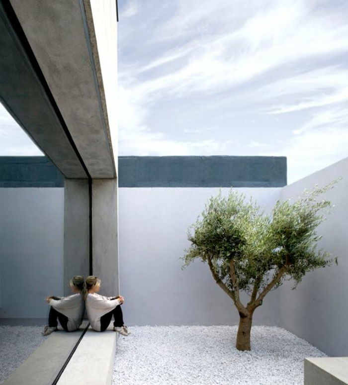 en hage med ideene om minimalisme og eksistensiell ensomhet