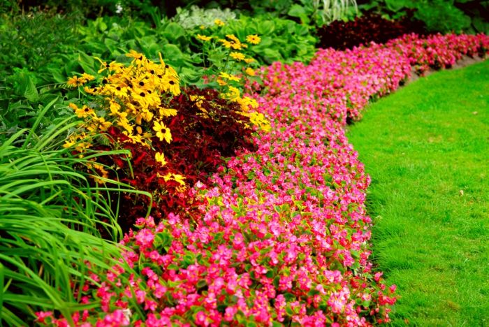 piękne kolorowe kwiaty - projekt ogrodu