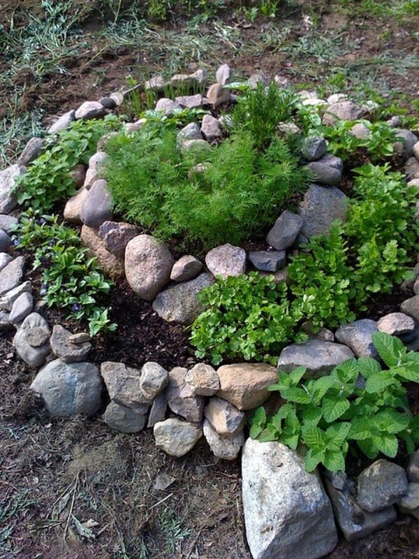 Projeto do jardim com decoração de pedras e plantas verdes - forma redonda