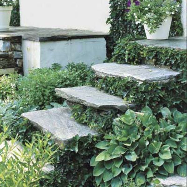 vrt-stopnice-samozaposlene-zeleno-okolje-lepa fotografija