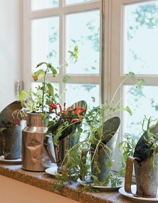 groenteplanten-een-der-Fensterbank