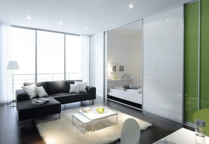glasschiebetuer till hem-grön-svart-soffa-vit-matta