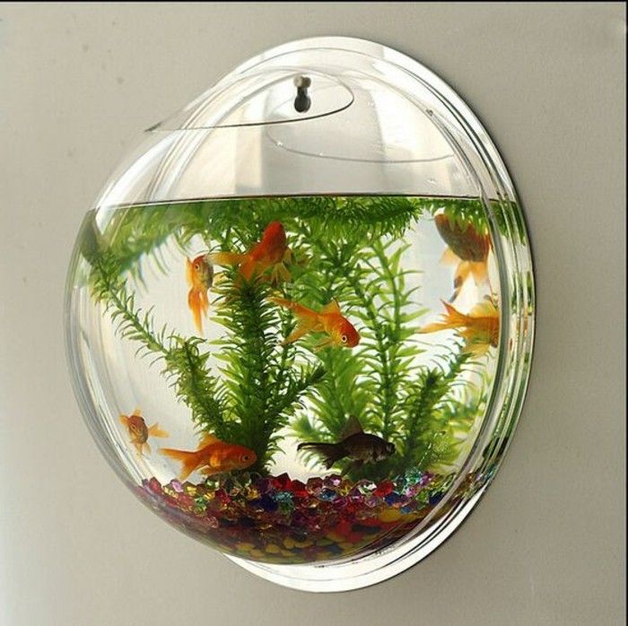 guldfisk-akvarium-anordning-akvarium-deco-flerfärgad-stenar-vattenväxter