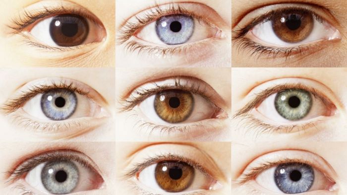 modré oči znamenajú hnedé oči šedá zelená žlté lieskové orechy mačacie oči tvary očí