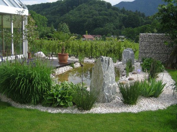 iaz, plante verzi și pietre pentru un design grădină frumos