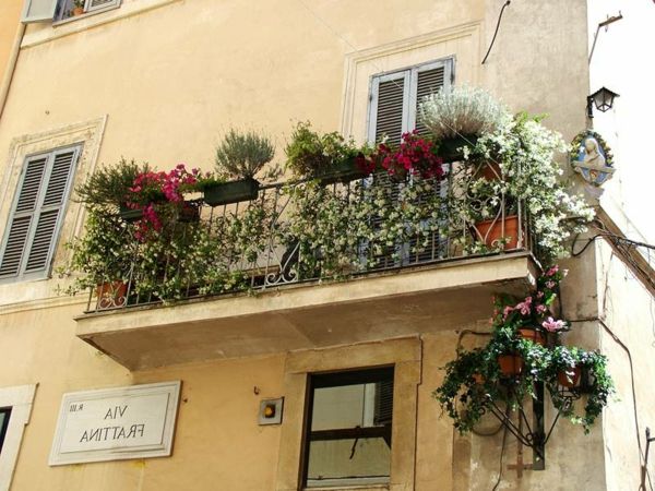 zavesenie-balkonpflanzen-balkón-in-Rím