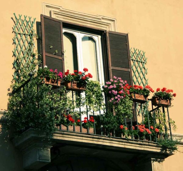 zavesenie-balkonpflanzen-cool-balkón-kvety