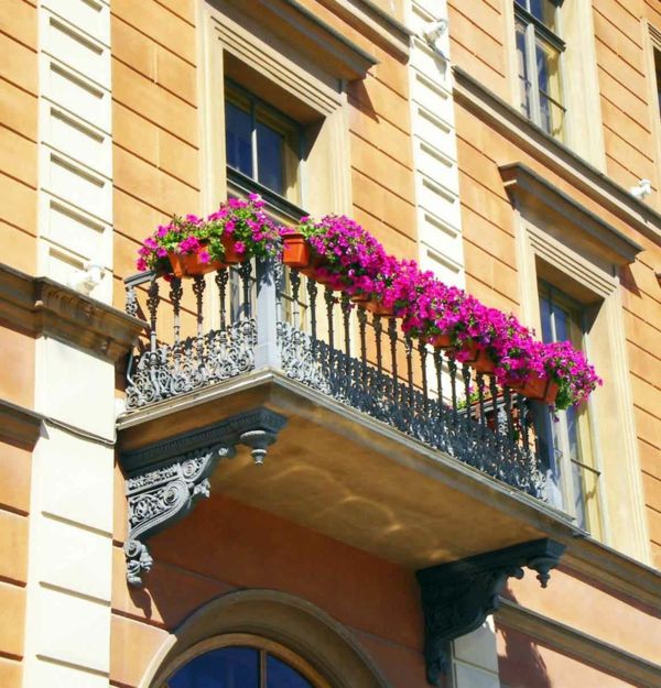 zavesenie-balkonpflanzen dekorovanie