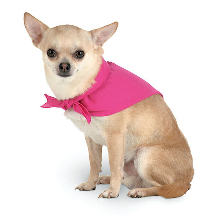 šatka-for-dog-pink-color-background-in-biela