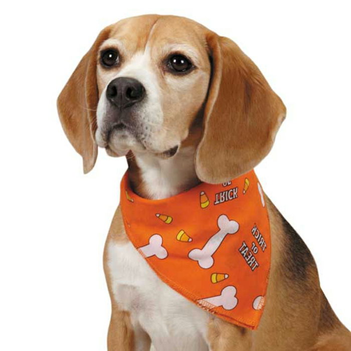 šatka-for-dog-pekný model, oranžová farba
