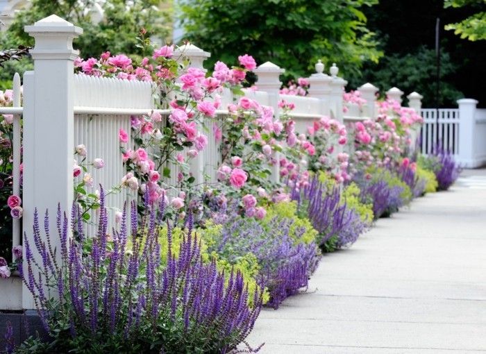 gražūs-gėlės-in-sweet-mažas-sodo-su-tvoros