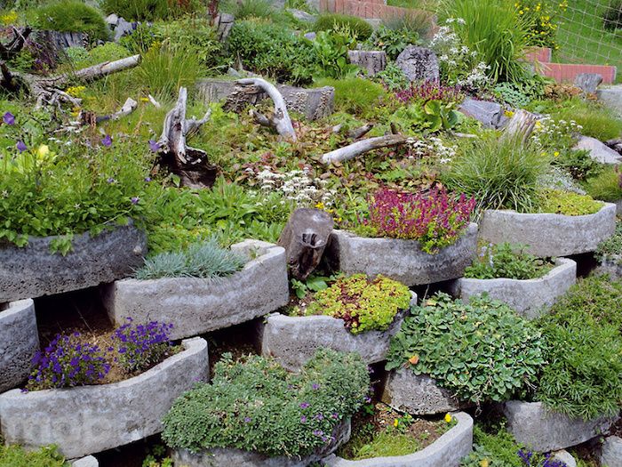 niečo o rastlinných kameňoch, ktoré by ste sa mohli veľmi páčiť - tu sú niektoré rastlinné kamene s kvetmi a zelenými rastlinami
