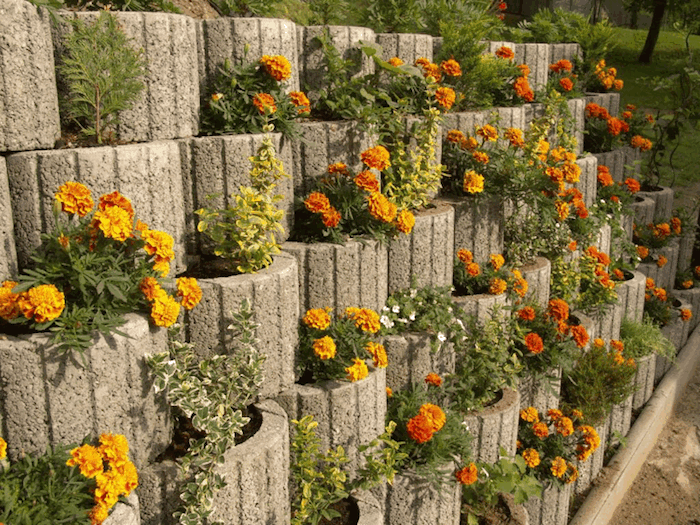 Pozrite sa na túto myšlienku pre dizajn záhrad - tu nájdete malé rastlinné kamene s oranžovými malými kvetmi