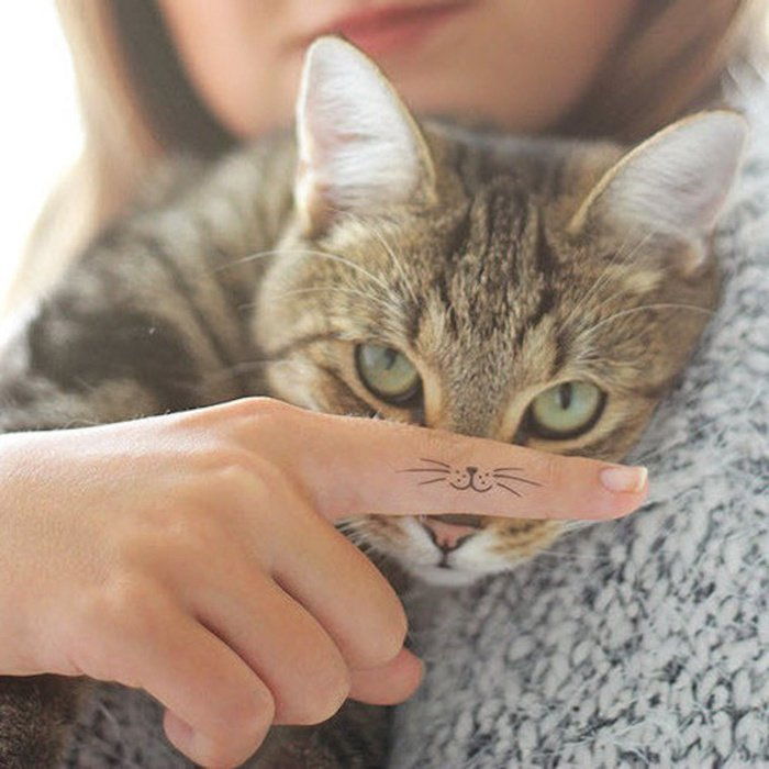 Oto kolejny szary kot o zielonych oczach i dłoń z palcem z tatuażem kota