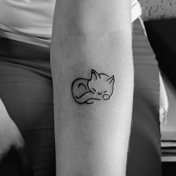 to kolejny pomysł na temat tatuażu kotów pod ręką - oto mały, uroczy, śpiący kot