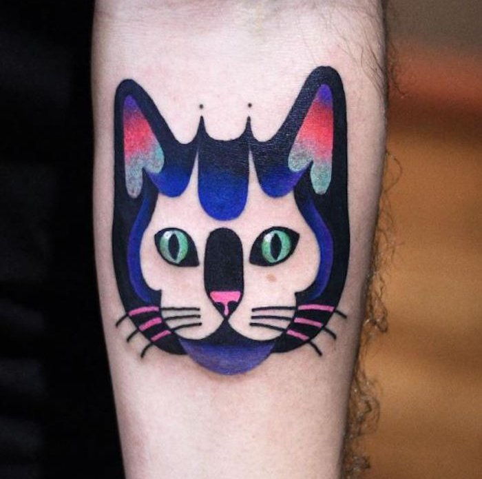niebieski kot z różowym nosem, dużymi zielonymi oczami i długimi czarnymi zmarszczkami