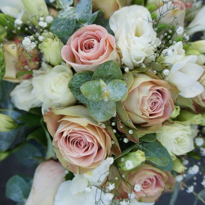 witte en roze bruidsboeketten van kleine groene bladeren en kleine witte planten
