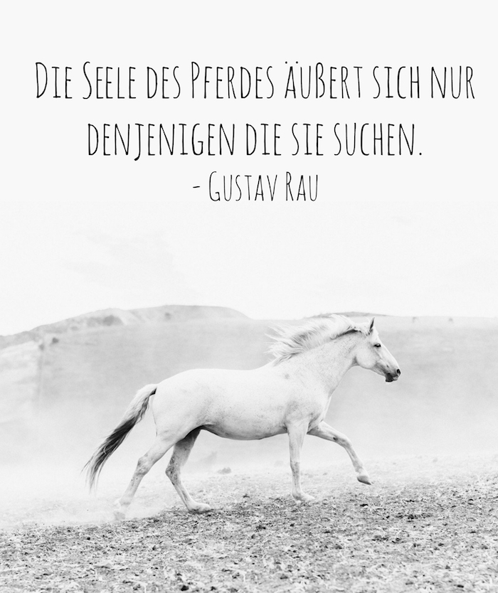 en hvit hest med en hvit hale, en lang hvit mane og svarte øyne og grå hover, steiner og et sitat fra gustav rau