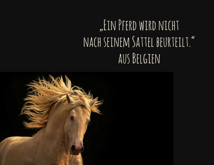Her er en løpende, vill, gul hest med svarte øyne og et bilde med et ord fra Belgia, vakre hestkvitater, hestbilder