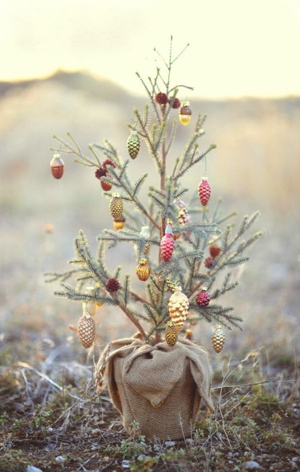 zaujímavé vianočný strom Obrázky kužele