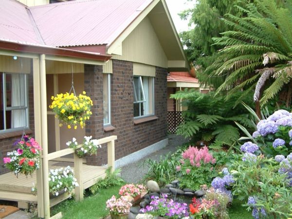 flori colorate pentru o casă confortabilă cu o grădină modernă