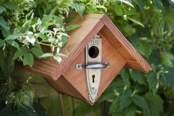 interessante Casa rivestimento per gli uccelli di legno