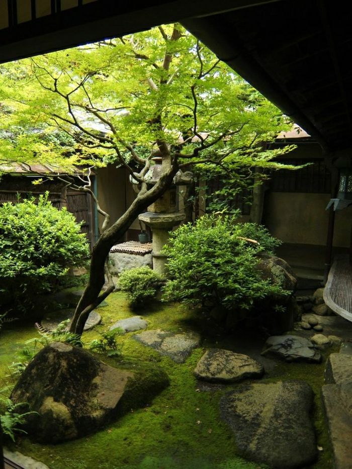 Japonská záhrada Kjóto Zen stromami