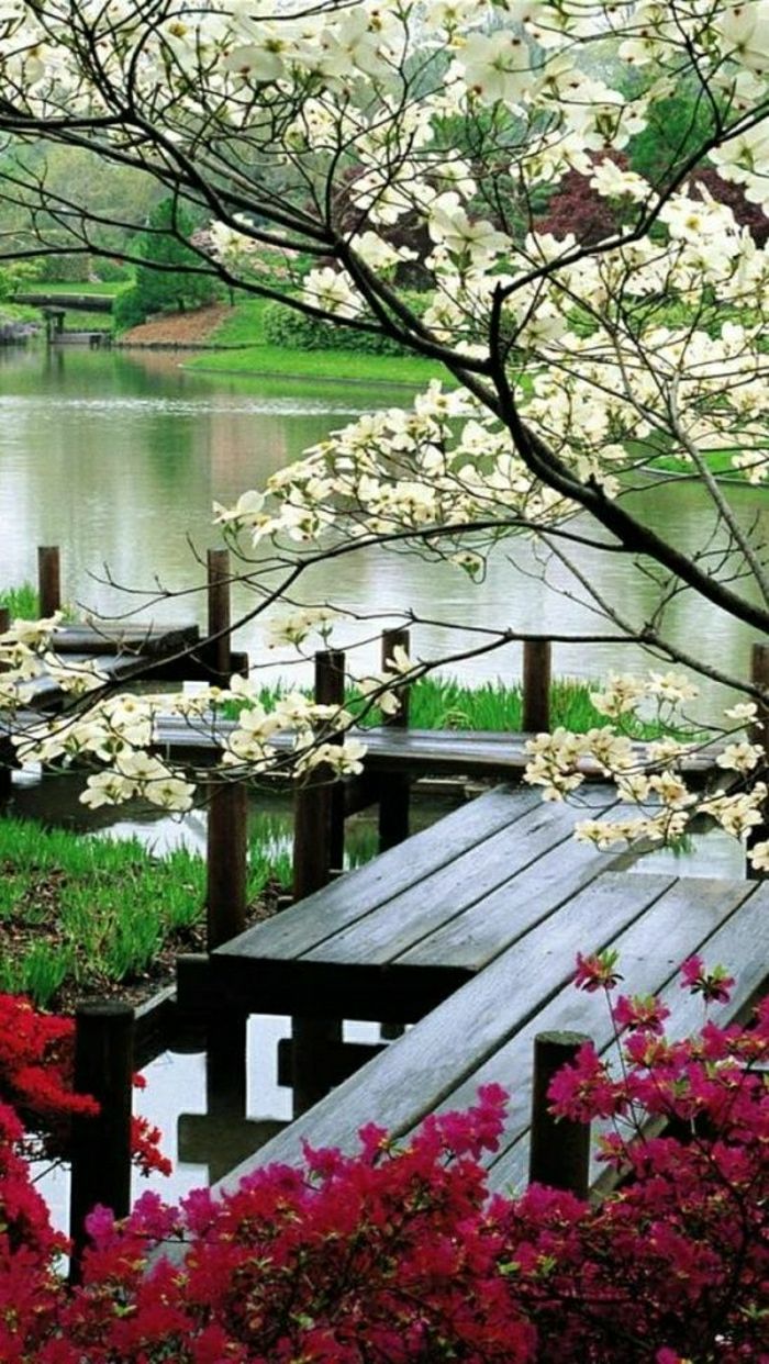 Japonská záhrada Lake Baumbüten tichá atmosféra