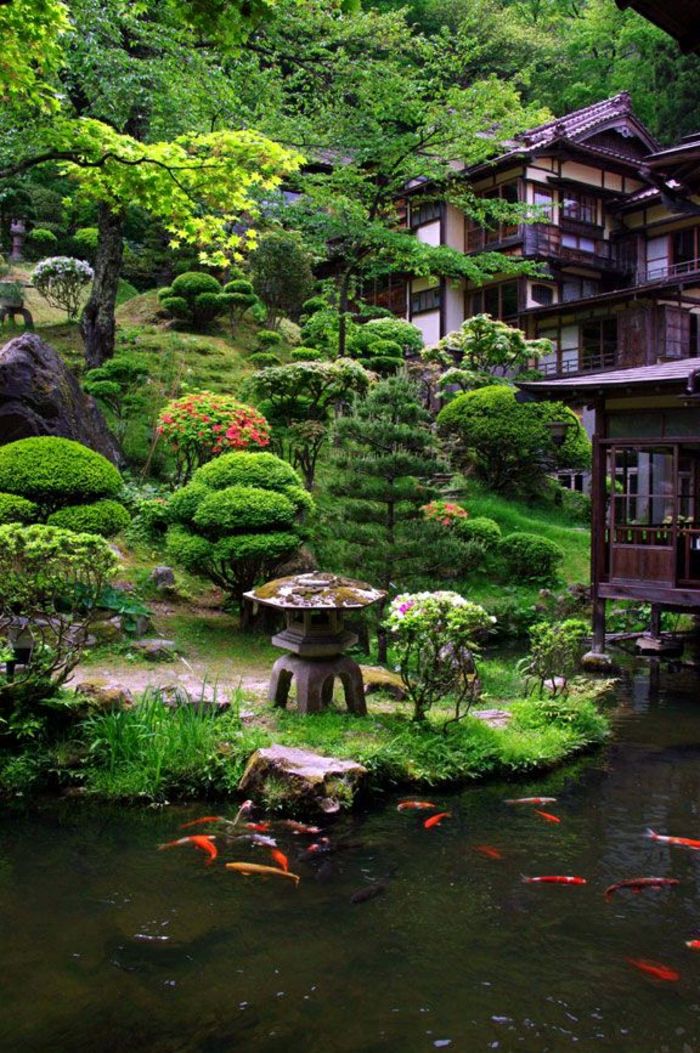 Japonská záhrada ozdobné ryby, exotické-zen-Villa