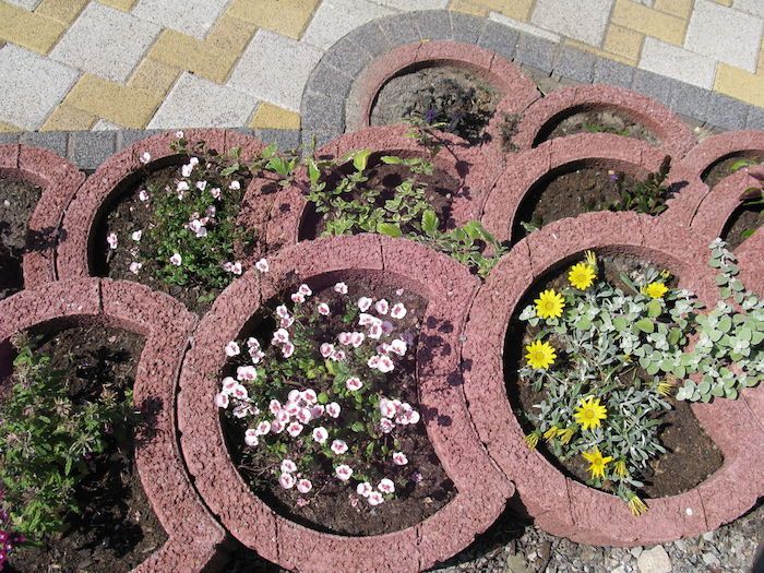 Tu nájdete jeden z našich nápadov na tému nákupu krásnych rastlinných kameňov - rastlinné prstene s malými kvetmi
