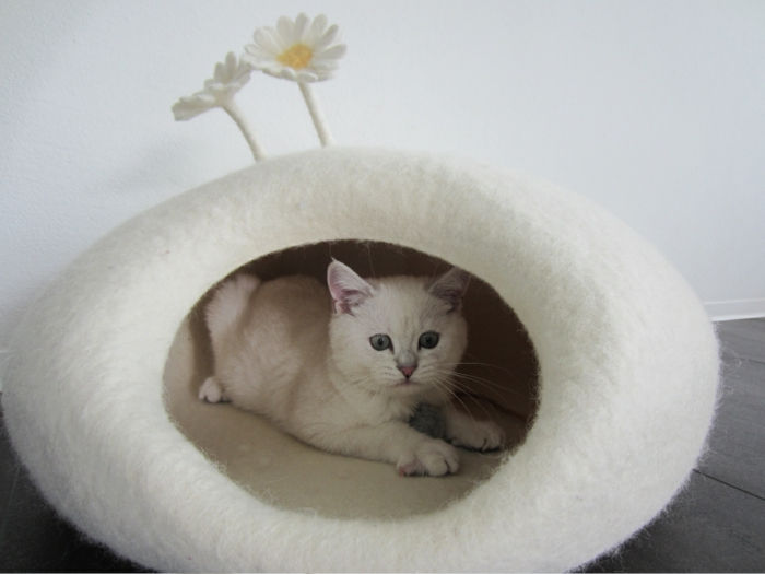 mačky príslušenstvo-cat-biely-biely-kokon-posteľ